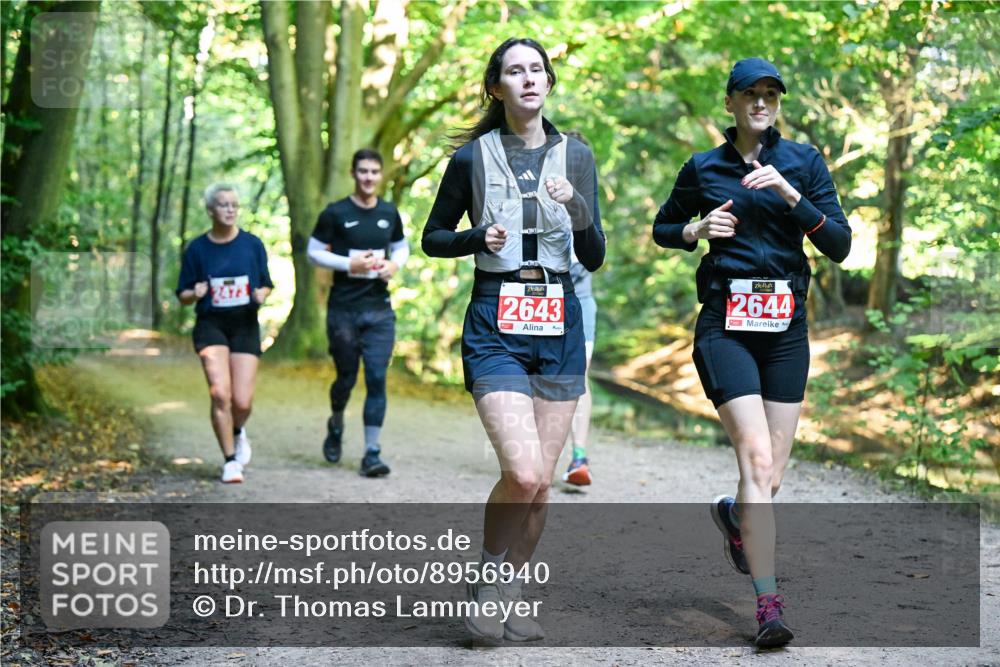 28.09.2025 - 33. Volkslauf durch das schöne Alstertal Dr. Thomas Lammeyer http://msf.ph/oto/8956940 28.09.2025 10:46:31 Laufen 2473, 2643, 2644 meine-sportfotos.de