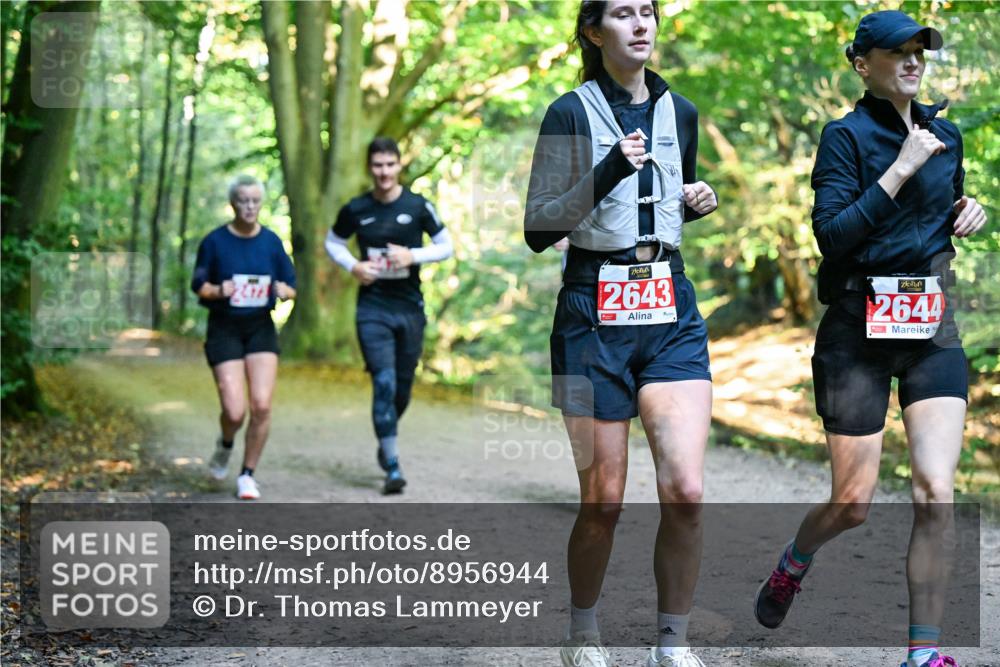 28.09.2025 - 33. Volkslauf durch das schöne Alstertal Dr. Thomas Lammeyer http://msf.ph/oto/8956944 28.09.2025 10:46:31 Laufen 2643, 2644 meine-sportfotos.de
