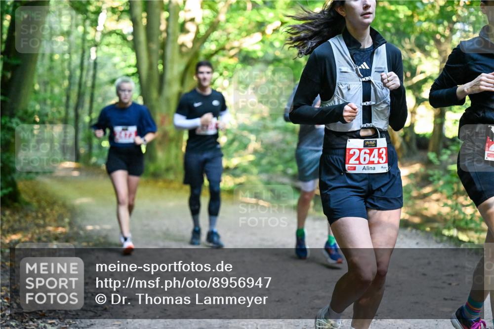 28.09.2025 - 33. Volkslauf durch das schöne Alstertal Dr. Thomas Lammeyer http://msf.ph/oto/8956947 28.09.2025 10:46:31 Laufen 2643 meine-sportfotos.de