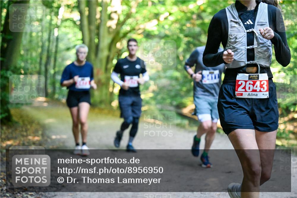 28.09.2025 - 33. Volkslauf durch das schöne Alstertal Dr. Thomas Lammeyer http://msf.ph/oto/8956950 28.09.2025 10:46:32 Laufen 2643 meine-sportfotos.de