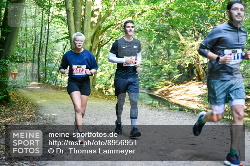 28.09.2025 - 33. Volkslauf durch das schöne Alstertal Dr. Thomas Lammeyer http://msf.ph/oto/8956951 28.09.2025 10:46:32 Laufen 2473 meine-sportfotos.de