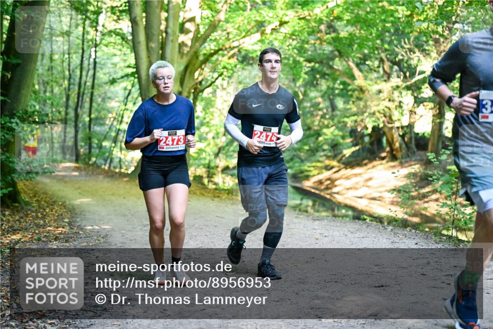 28.09.2025 - 33. Volkslauf durch das schöne Alstertal Dr. Thomas Lammeyer http://msf.ph/oto/8956953 28.09.2025 10:46:32 Laufen 2474, 2473, 3 meine-sportfotos.de