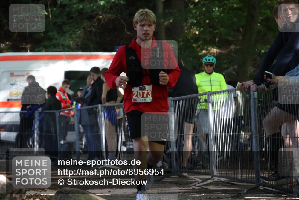 28.09.2025 - 33. Volkslauf durch das schöne Alstertal Strokosch-Dieckow http://msf.ph/oto/8956954 28.09.2025 12:59:10 Ziel 2073 meine-sportfotos.de