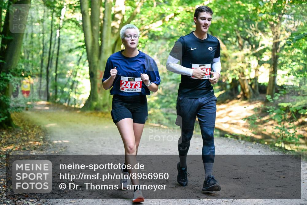 28.09.2025 - 33. Volkslauf durch das schöne Alstertal Dr. Thomas Lammeyer http://msf.ph/oto/8956960 28.09.2025 10:46:33 Laufen 2473 meine-sportfotos.de