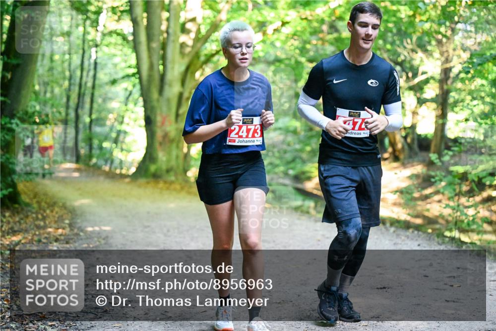 28.09.2025 - 33. Volkslauf durch das schöne Alstertal Dr. Thomas Lammeyer http://msf.ph/oto/8956963 28.09.2025 10:46:33 Laufen 2473, 7 meine-sportfotos.de