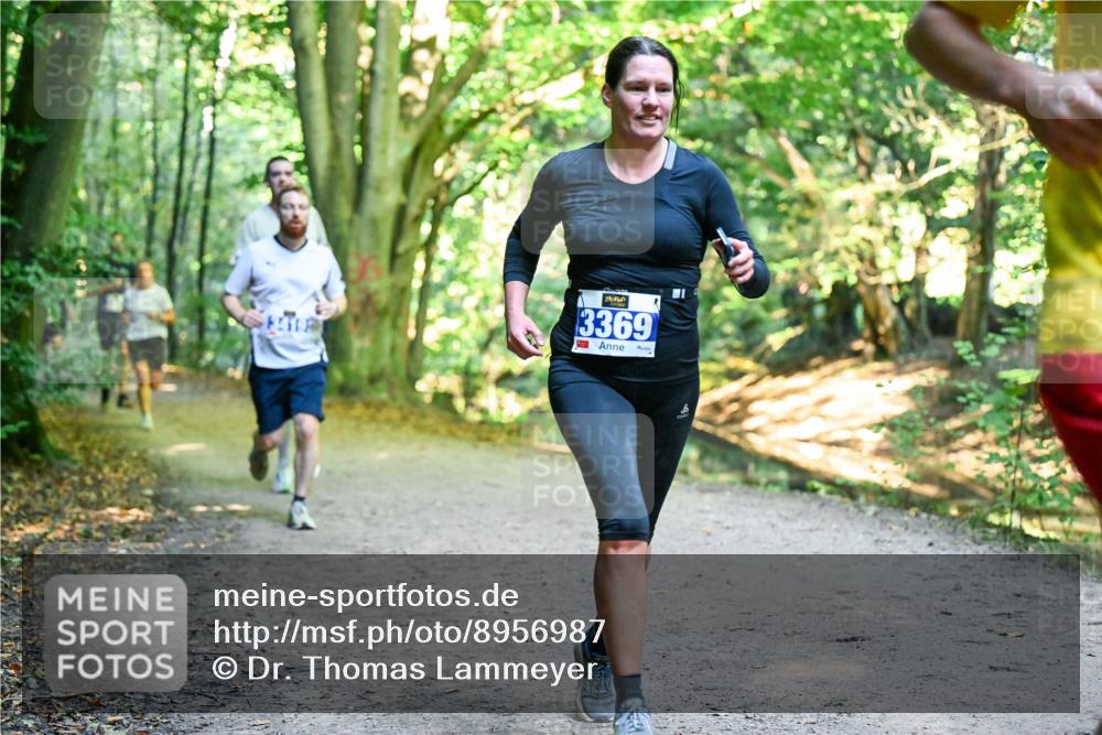 28.09.2025 - 33. Volkslauf durch das schöne Alstertal Dr. Thomas Lammeyer http://msf.ph/oto/8956987 28.09.2025 10:46:41 Laufen 3369 meine-sportfotos.de