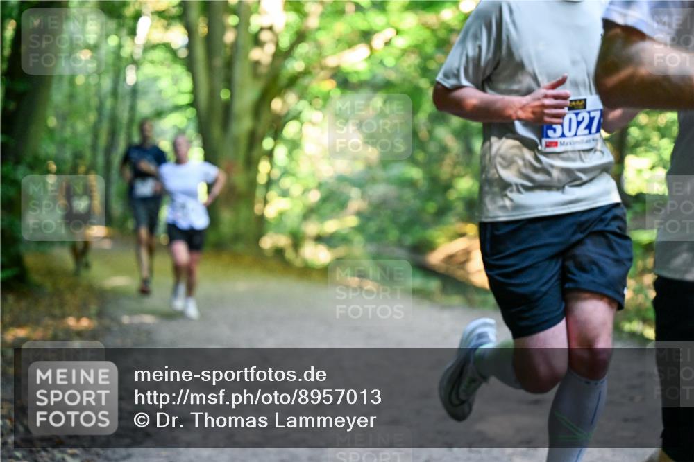 28.09.2025 - 33. Volkslauf durch das schöne Alstertal Dr. Thomas Lammeyer http://msf.ph/oto/8957013 28.09.2025 10:46:43 Laufen 5027 meine-sportfotos.de