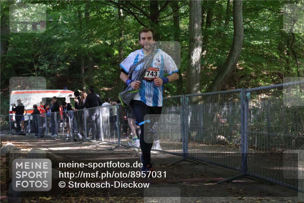 28.09.2025 - 33. Volkslauf durch das schöne Alstertal Strokosch-Dieckow http://msf.ph/oto/8957031 28.09.2025 13:00:01 Ziel 1743 meine-sportfotos.de
