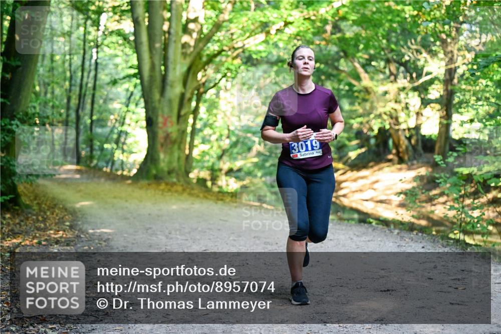 28.09.2025 - 33. Volkslauf durch das schöne Alstertal Dr. Thomas Lammeyer http://msf.ph/oto/8957074 28.09.2025 10:46:56 Laufen 3019 meine-sportfotos.de