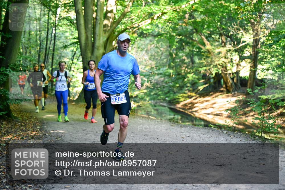 28.09.2025 - 33. Volkslauf durch das schöne Alstertal Dr. Thomas Lammeyer http://msf.ph/oto/8957087 28.09.2025 10:47:05 Laufen 3314, 3373 meine-sportfotos.de