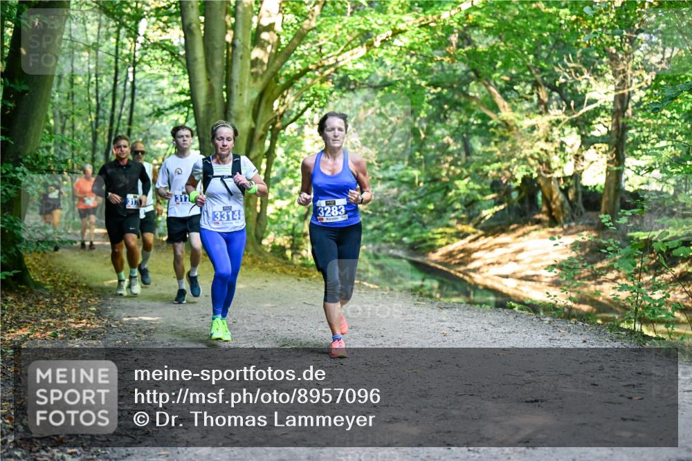 28.09.2025 - 33. Volkslauf durch das schöne Alstertal Dr. Thomas Lammeyer http://msf.ph/oto/8957096 28.09.2025 10:47:06 Laufen 317, 317, 3314, 3283 meine-sportfotos.de