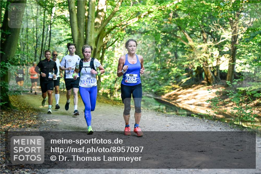 28.09.2025 - 33. Volkslauf durch das schöne Alstertal Dr. Thomas Lammeyer http://msf.ph/oto/8957097 28.09.2025 10:47:06 Laufen 317, 3314, 3283 meine-sportfotos.de