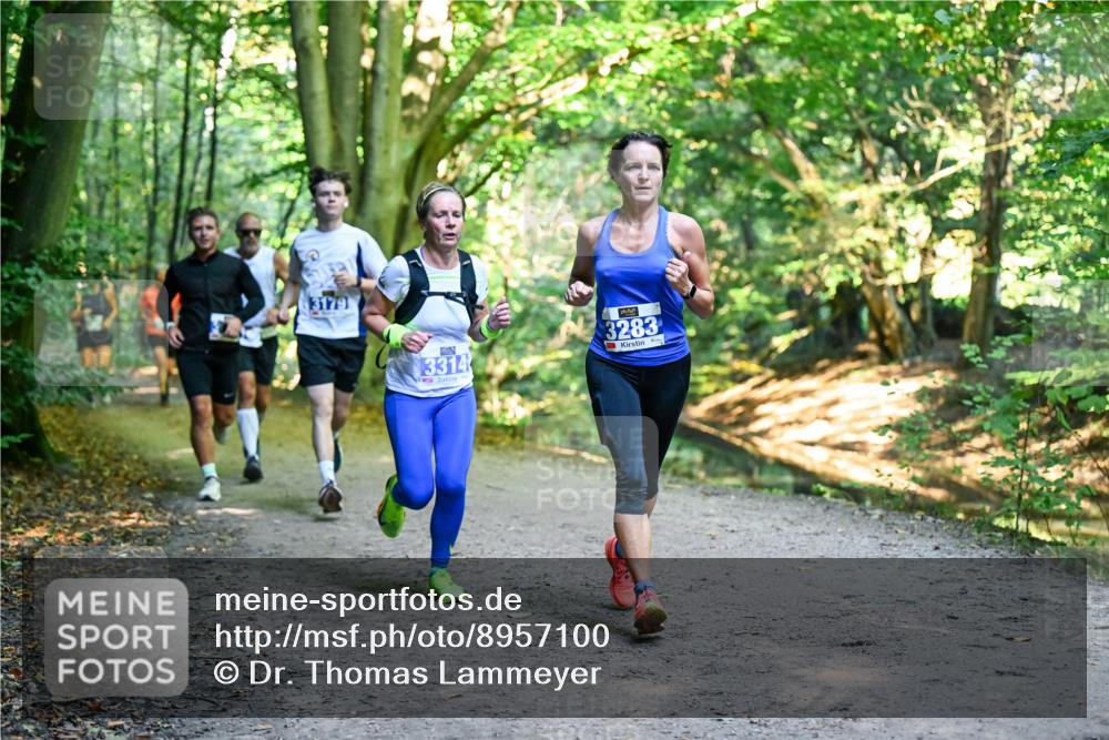 28.09.2025 - 33. Volkslauf durch das schöne Alstertal Dr. Thomas Lammeyer http://msf.ph/oto/8957100 28.09.2025 10:47:07 Laufen 3179, 3314, 3283 meine-sportfotos.de