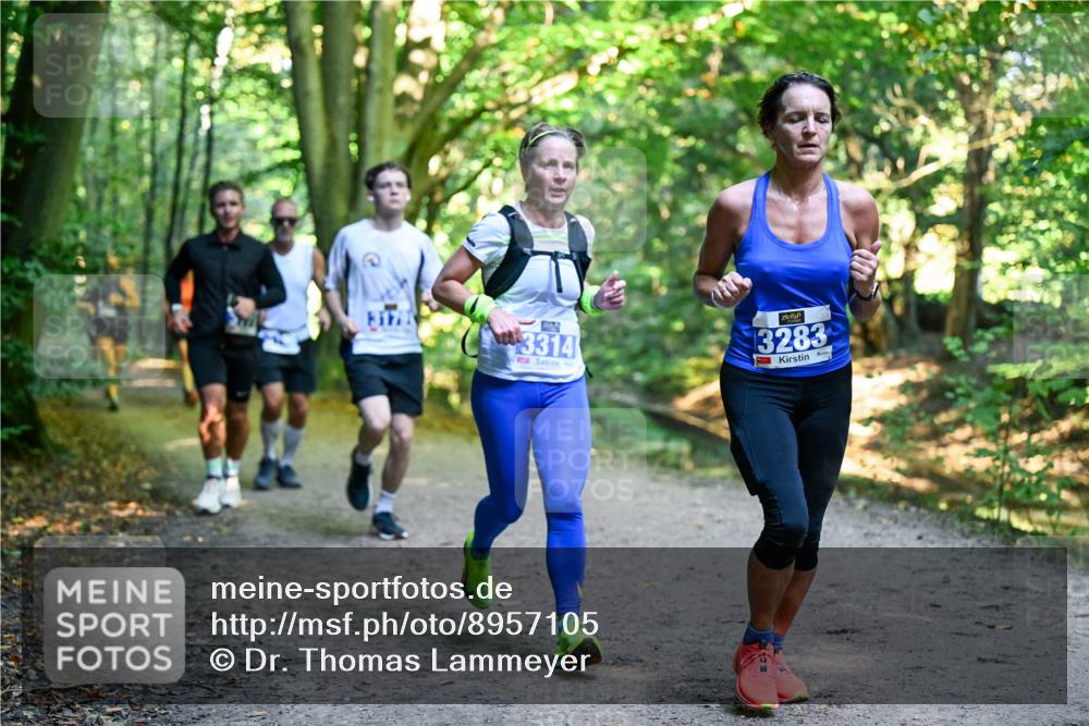28.09.2025 - 33. Volkslauf durch das schöne Alstertal Dr. Thomas Lammeyer http://msf.ph/oto/8957105 28.09.2025 10:47:07 Laufen 3314, 3283 meine-sportfotos.de
