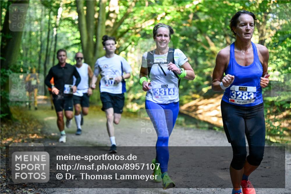 28.09.2025 - 33. Volkslauf durch das schöne Alstertal Dr. Thomas Lammeyer http://msf.ph/oto/8957107 28.09.2025 10:47:08 Laufen 3314, 3283 meine-sportfotos.de