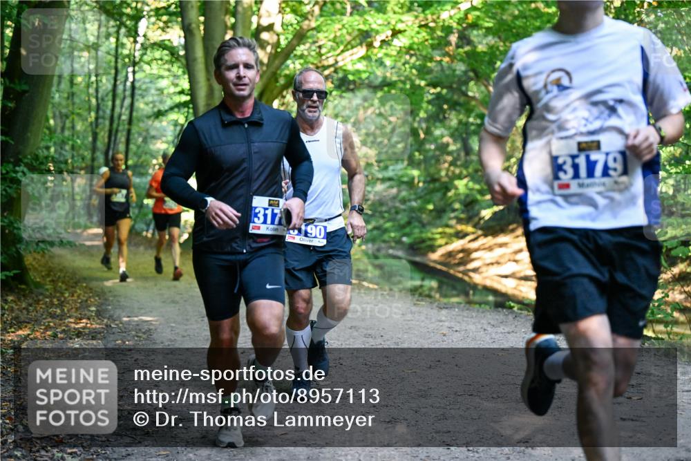 28.09.2025 - 33. Volkslauf durch das schöne Alstertal Dr. Thomas Lammeyer http://msf.ph/oto/8957113 28.09.2025 10:47:09 Laufen 317, 7, 190, 3179 meine-sportfotos.de