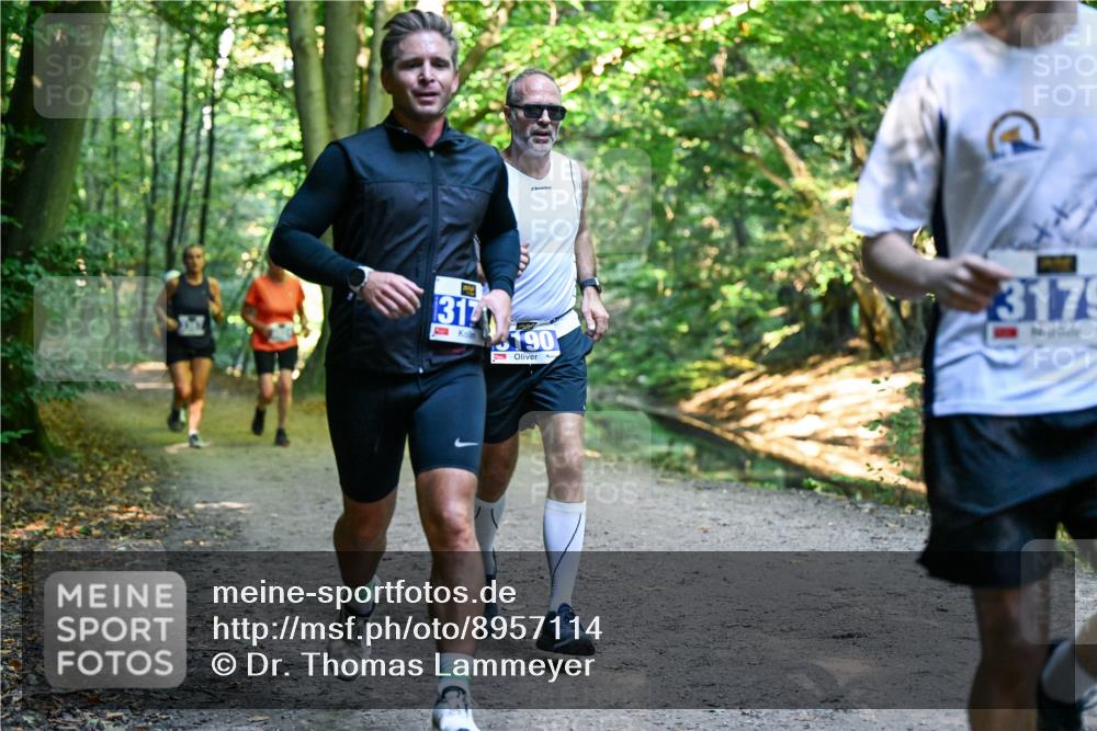 28.09.2025 - 33. Volkslauf durch das schöne Alstertal Dr. Thomas Lammeyer http://msf.ph/oto/8957114 28.09.2025 10:47:09 Laufen 1317, 3190, 3179 meine-sportfotos.de