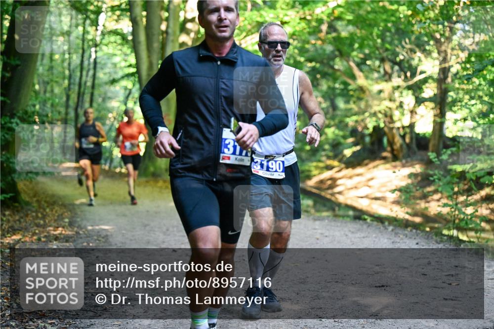 28.09.2025 - 33. Volkslauf durch das schöne Alstertal Dr. Thomas Lammeyer http://msf.ph/oto/8957116 28.09.2025 10:47:09 Laufen 31, 3190 meine-sportfotos.de