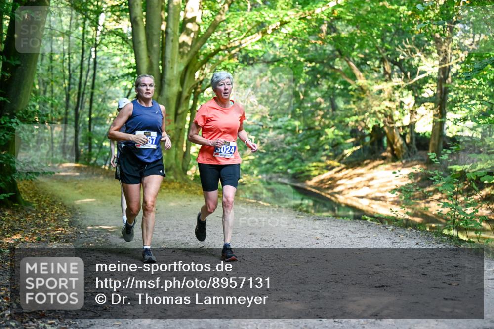 28.09.2025 - 33. Volkslauf durch das schöne Alstertal Dr. Thomas Lammeyer http://msf.ph/oto/8957131 28.09.2025 10:47:12 Laufen 67, 5024 meine-sportfotos.de