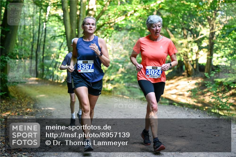 28.09.2025 - 33. Volkslauf durch das schöne Alstertal Dr. Thomas Lammeyer http://msf.ph/oto/8957139 28.09.2025 10:47:13 Laufen 3367, 3024 meine-sportfotos.de