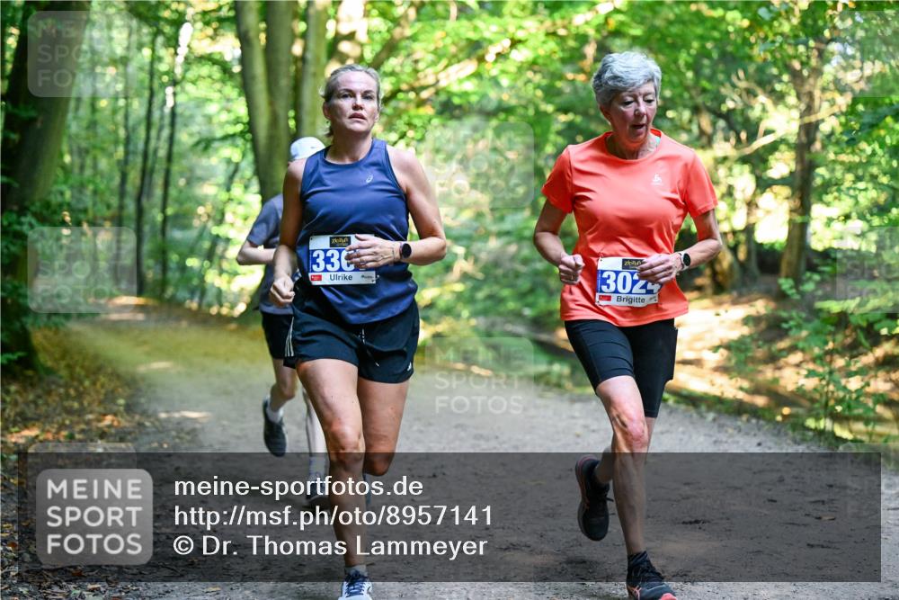 28.09.2025 - 33. Volkslauf durch das schöne Alstertal Dr. Thomas Lammeyer http://msf.ph/oto/8957141 28.09.2025 10:47:13 Laufen 336, 3024 meine-sportfotos.de