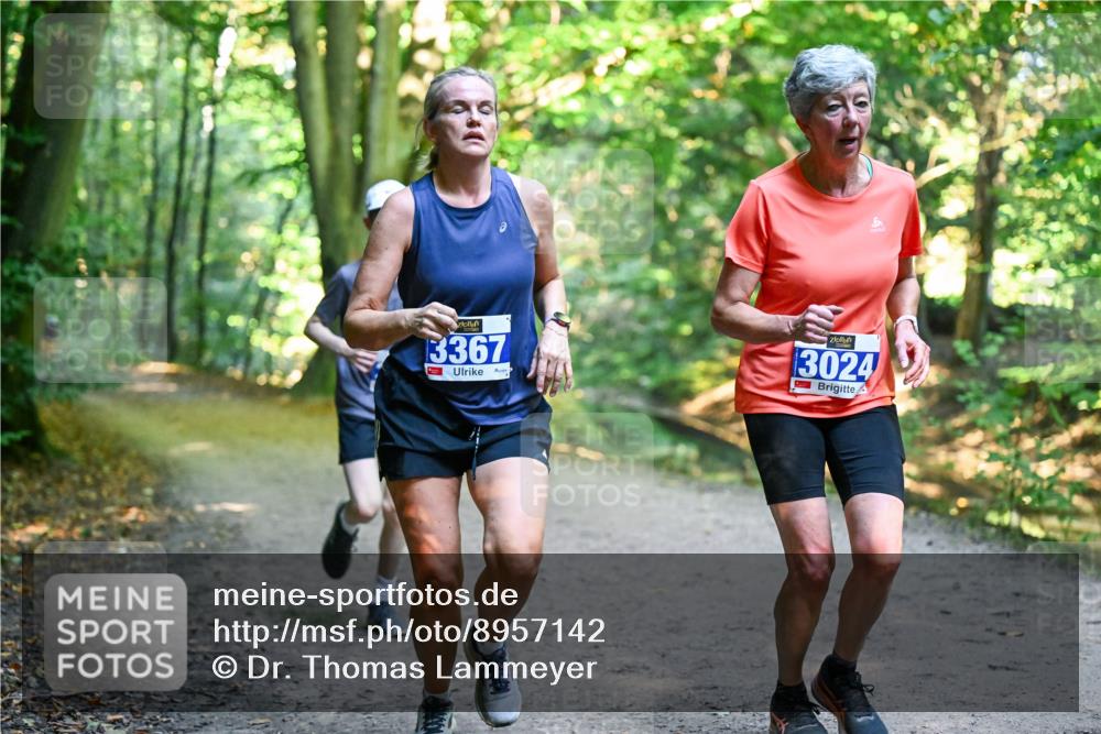 28.09.2025 - 33. Volkslauf durch das schöne Alstertal Dr. Thomas Lammeyer http://msf.ph/oto/8957142 28.09.2025 10:47:13 Laufen 3367, 11, 3024 meine-sportfotos.de