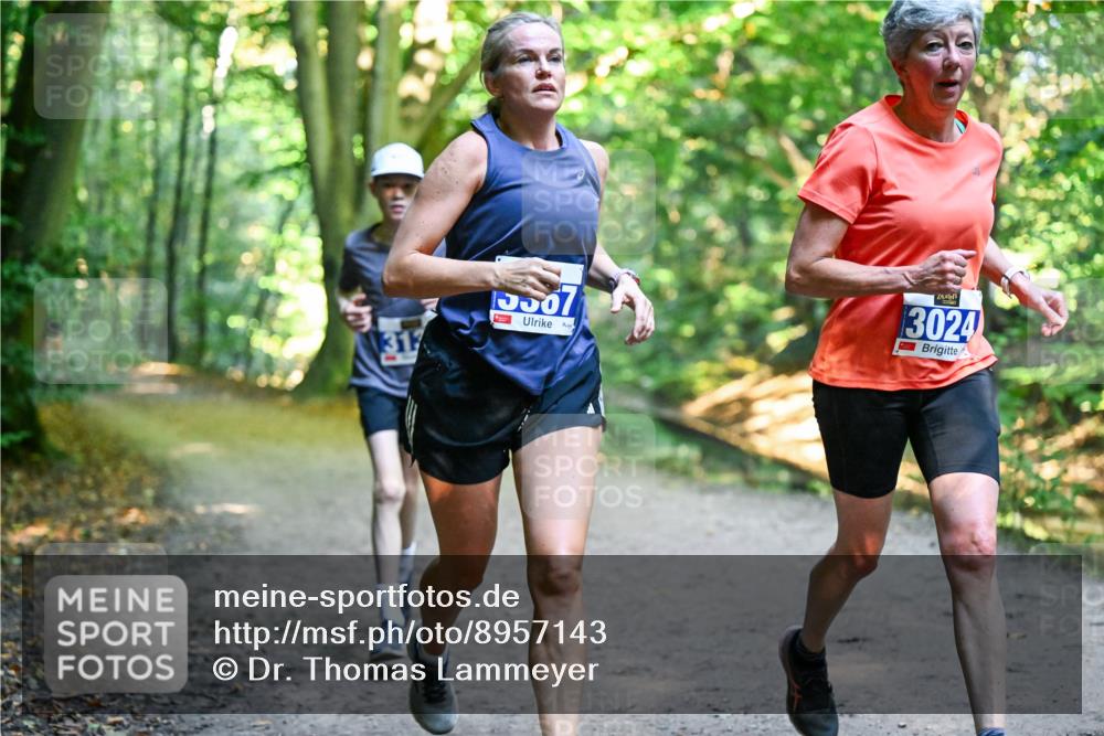 28.09.2025 - 33. Volkslauf durch das schöne Alstertal Dr. Thomas Lammeyer http://msf.ph/oto/8957143 28.09.2025 10:47:13 Laufen 317, 15507, 3024 meine-sportfotos.de