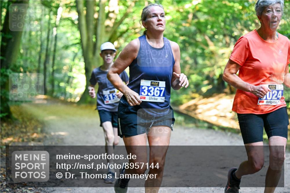 28.09.2025 - 33. Volkslauf durch das schöne Alstertal Dr. Thomas Lammeyer http://msf.ph/oto/8957144 28.09.2025 10:47:13 Laufen 313, 13367, 024 meine-sportfotos.de
