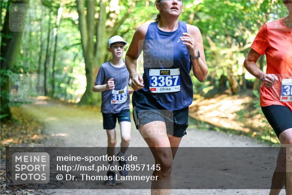 28.09.2025 - 33. Volkslauf durch das schöne Alstertal Dr. Thomas Lammeyer http://msf.ph/oto/8957145 28.09.2025 10:47:14 Laufen 313, 3367, 30 meine-sportfotos.de