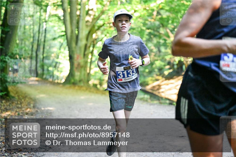28.09.2025 - 33. Volkslauf durch das schöne Alstertal Dr. Thomas Lammeyer http://msf.ph/oto/8957148 28.09.2025 10:47:14 Laufen 3133 meine-sportfotos.de