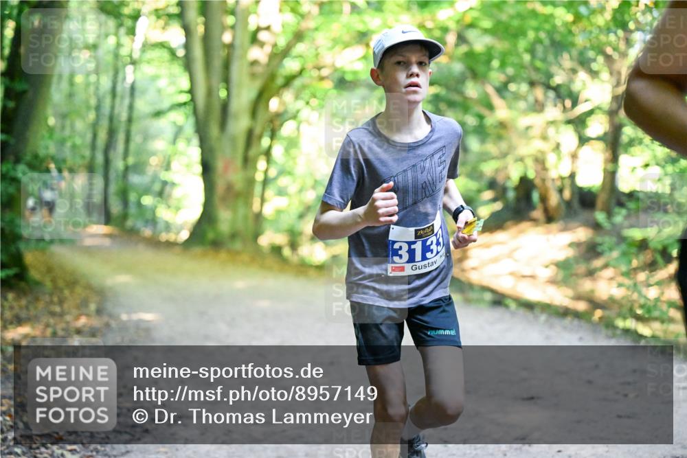 28.09.2025 - 33. Volkslauf durch das schöne Alstertal Dr. Thomas Lammeyer http://msf.ph/oto/8957149 28.09.2025 10:47:14 Laufen 313 meine-sportfotos.de