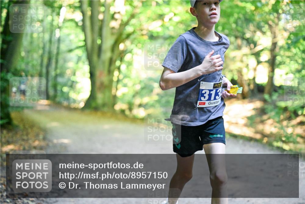 28.09.2025 - 33. Volkslauf durch das schöne Alstertal Dr. Thomas Lammeyer http://msf.ph/oto/8957150 28.09.2025 10:47:14 Laufen 313 meine-sportfotos.de