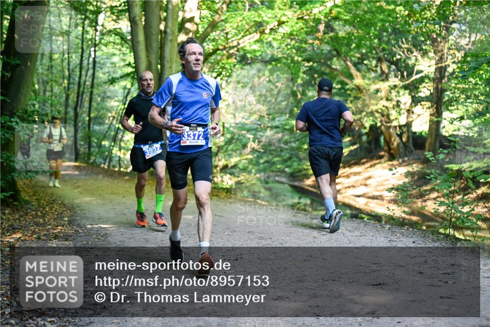 28.09.2025 - 33. Volkslauf durch das schöne Alstertal Dr. Thomas Lammeyer http://msf.ph/oto/8957153 28.09.2025 10:47:20 Laufen 3372, 3957 meine-sportfotos.de