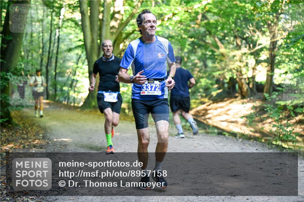 28.09.2025 - 33. Volkslauf durch das schöne Alstertal Dr. Thomas Lammeyer http://msf.ph/oto/8957158 28.09.2025 10:47:21 Laufen 3372 meine-sportfotos.de