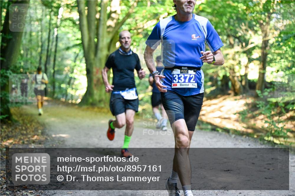 28.09.2025 - 33. Volkslauf durch das schöne Alstertal Dr. Thomas Lammeyer http://msf.ph/oto/8957161 28.09.2025 10:47:21 Laufen 3372 meine-sportfotos.de