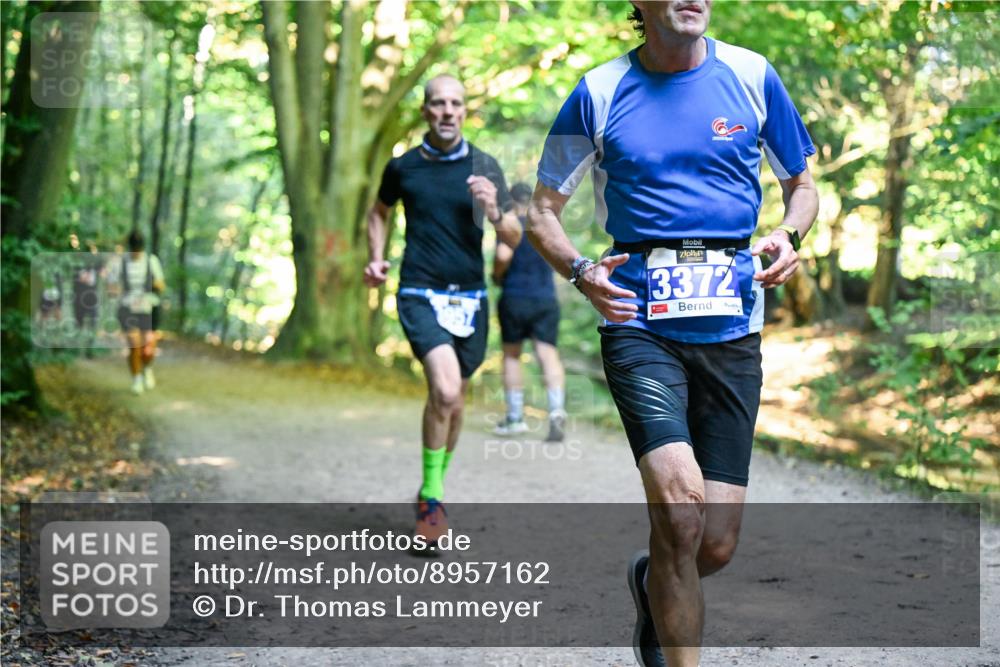 28.09.2025 - 33. Volkslauf durch das schöne Alstertal Dr. Thomas Lammeyer http://msf.ph/oto/8957162 28.09.2025 10:47:21 Laufen 3372 meine-sportfotos.de