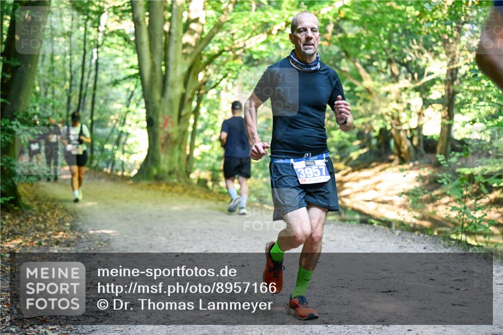 28.09.2025 - 33. Volkslauf durch das schöne Alstertal Dr. Thomas Lammeyer http://msf.ph/oto/8957166 28.09.2025 10:47:22 Laufen 3957 meine-sportfotos.de