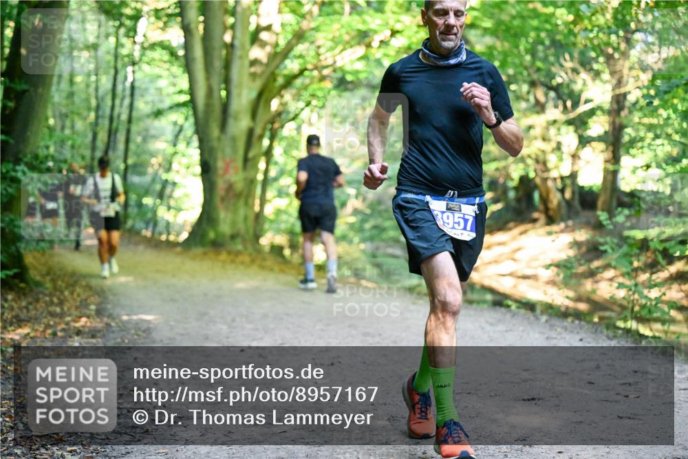 28.09.2025 - 33. Volkslauf durch das schöne Alstertal Dr. Thomas Lammeyer http://msf.ph/oto/8957167 28.09.2025 10:47:22 Laufen 3957 meine-sportfotos.de