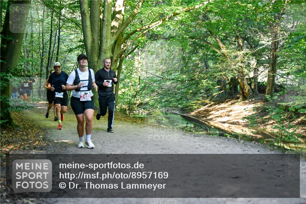 28.09.2025 - 33. Volkslauf durch das schöne Alstertal Dr. Thomas Lammeyer http://msf.ph/oto/8957169 28.09.2025 10:47:26 Laufen 3042, 3307, 2483 meine-sportfotos.de