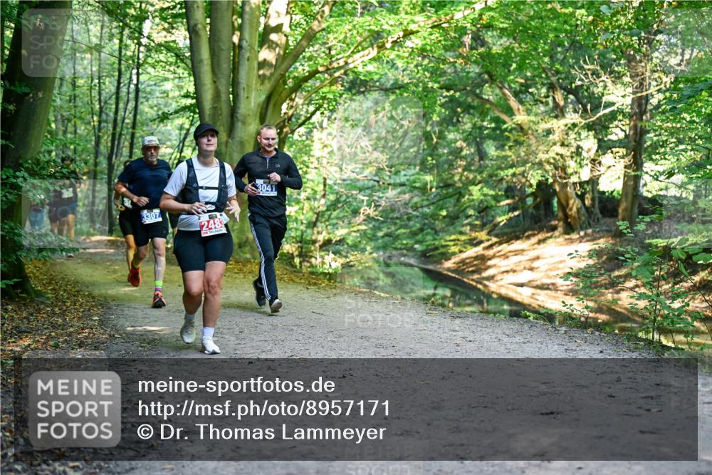 28.09.2025 - 33. Volkslauf durch das schöne Alstertal Dr. Thomas Lammeyer http://msf.ph/oto/8957171 28.09.2025 10:47:26 Laufen 3307, 2481, 3041 meine-sportfotos.de