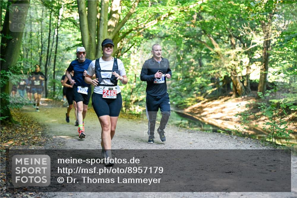 28.09.2025 - 33. Volkslauf durch das schöne Alstertal Dr. Thomas Lammeyer http://msf.ph/oto/8957179 28.09.2025 10:47:27 Laufen 3307, 2483, 364 meine-sportfotos.de