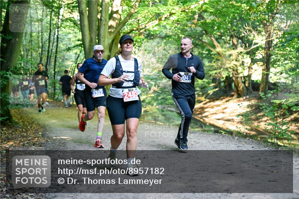 28.09.2025 - 33. Volkslauf durch das schöne Alstertal Dr. Thomas Lammeyer http://msf.ph/oto/8957182 28.09.2025 10:47:28 Laufen 3014, 3307, 2483, 3041 meine-sportfotos.de