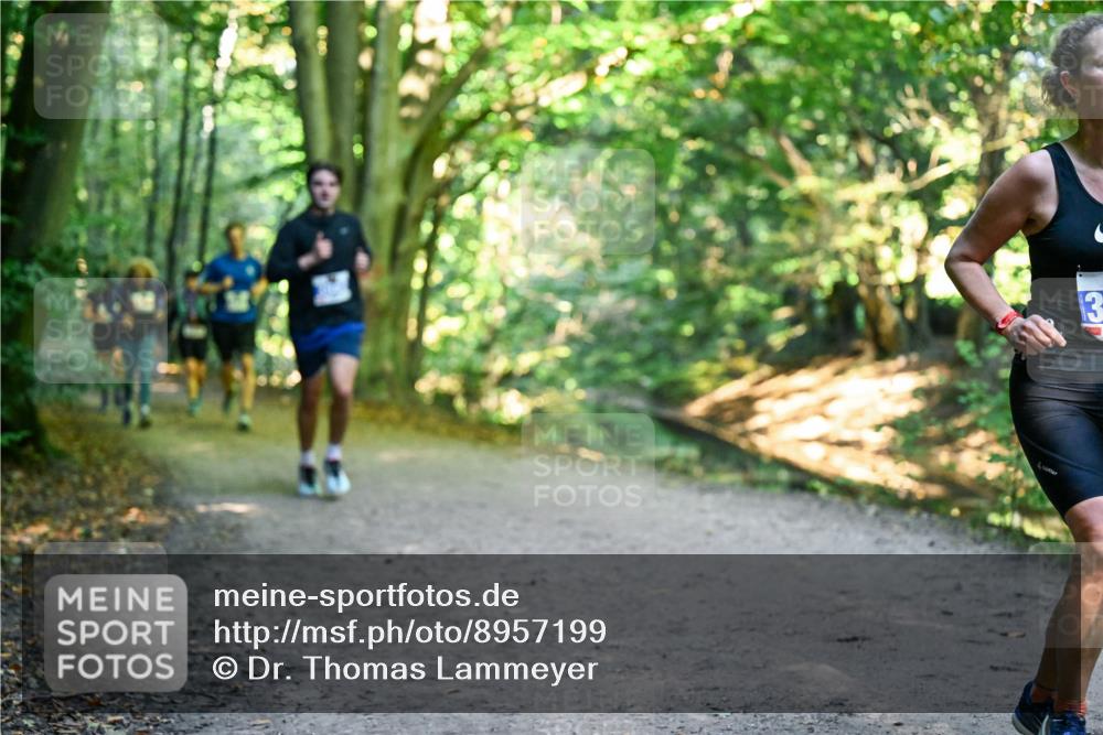 28.09.2025 - 33. Volkslauf durch das schöne Alstertal Dr. Thomas Lammeyer http://msf.ph/oto/8957199 28.09.2025 10:47:31 Laufen 13 meine-sportfotos.de
