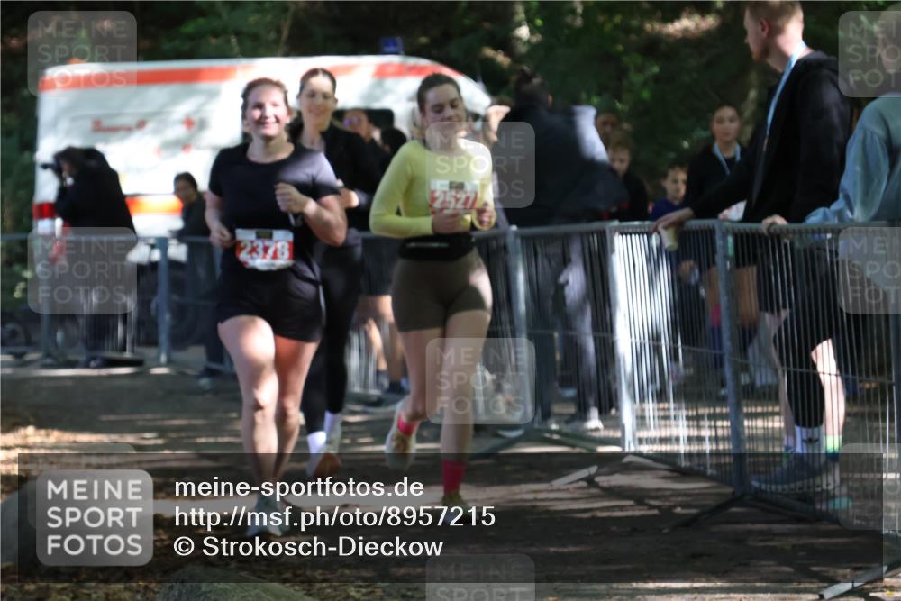 28.09.2025 - 33. Volkslauf durch das schöne Alstertal Strokosch-Dieckow http://msf.ph/oto/8957215 28.09.2025 13:02:13 Ziel 2247, 2378, 2527 meine-sportfotos.de