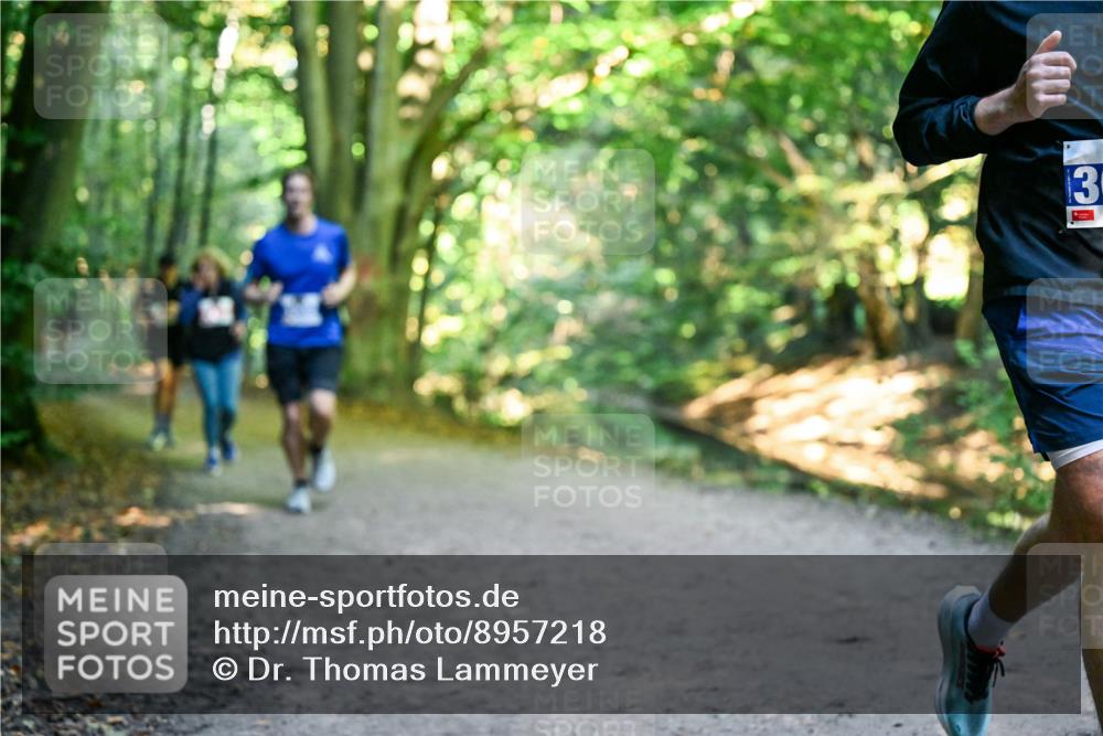 28.09.2025 - 33. Volkslauf durch das schöne Alstertal Dr. Thomas Lammeyer http://msf.ph/oto/8957218 28.09.2025 10:47:33 Laufen  meine-sportfotos.de
