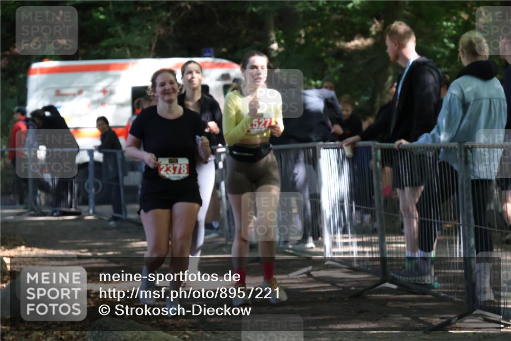 28.09.2025 - 33. Volkslauf durch das schöne Alstertal Strokosch-Dieckow http://msf.ph/oto/8957221 28.09.2025 13:02:14 Ziel 2247, 2378, 2527 meine-sportfotos.de