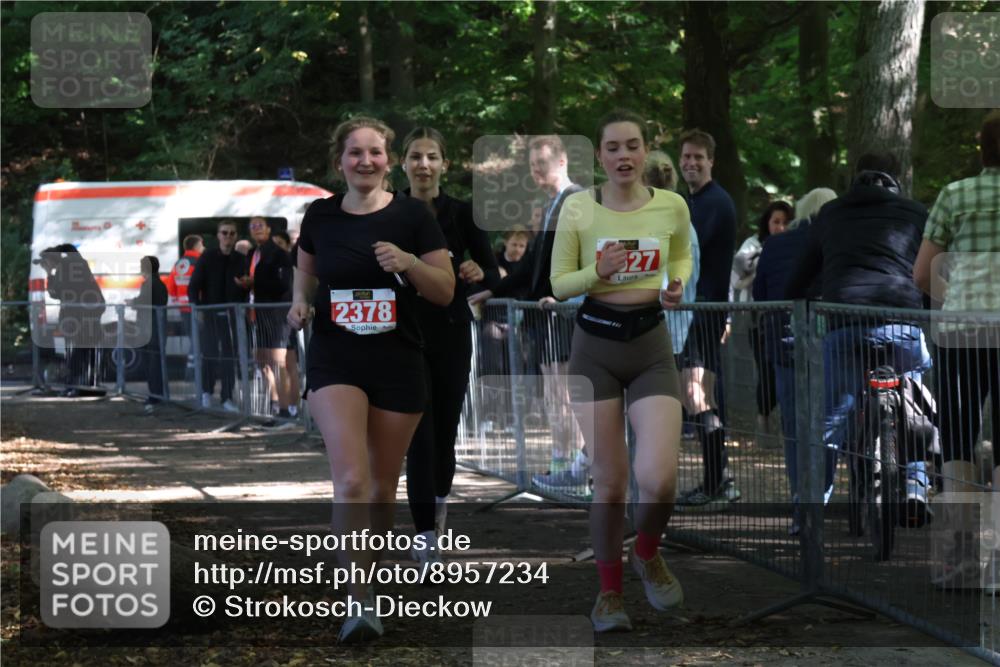 28.09.2025 - 33. Volkslauf durch das schöne Alstertal Strokosch-Dieckow http://msf.ph/oto/8957234 28.09.2025 13:02:16 Ziel 2247, 2378, 2527 meine-sportfotos.de