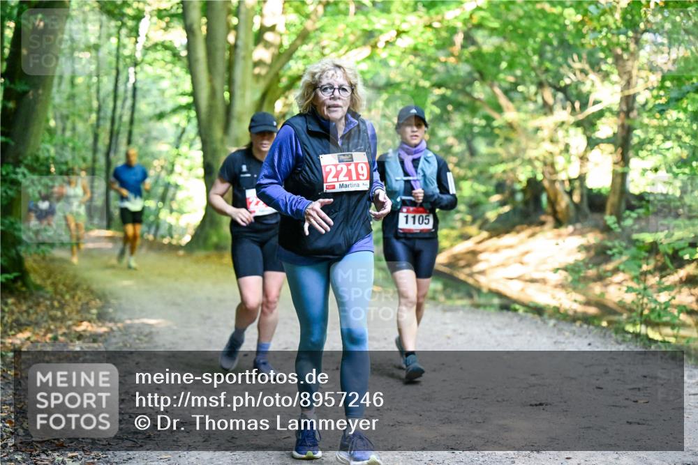 28.09.2025 - 33. Volkslauf durch das schöne Alstertal Dr. Thomas Lammeyer http://msf.ph/oto/8957246 28.09.2025 10:47:38 Laufen 2219, 1105 meine-sportfotos.de