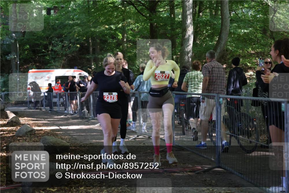 28.09.2025 - 33. Volkslauf durch das schöne Alstertal Strokosch-Dieckow http://msf.ph/oto/8957252 28.09.2025 13:02:17 Ziel 2247, 2378, 2527 meine-sportfotos.de
