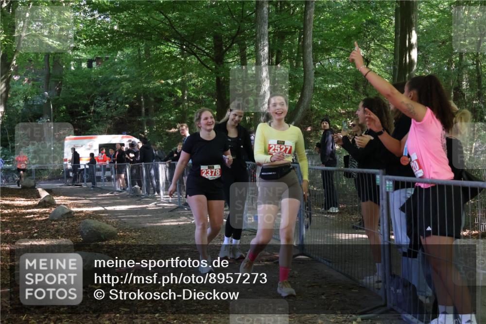 28.09.2025 - 33. Volkslauf durch das schöne Alstertal Strokosch-Dieckow http://msf.ph/oto/8957273 28.09.2025 13:02:18 Ziel 2247, 2378, 2527 meine-sportfotos.de